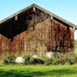 Massivtræ i moderne arkitektur: Mere end blot et byggemateriale