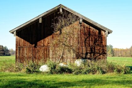 Massivtræ i moderne arkitektur: Mere end blot et byggemateriale